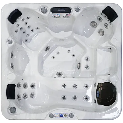 Avalon EC-849L hot tubs for sale in Johnson City