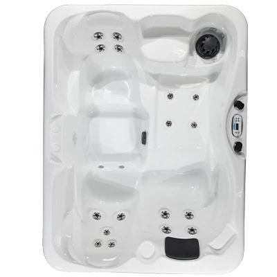 Kona PZ-519L hot tubs for sale in Johnson City