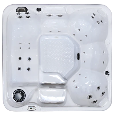 Hawaiian PZ-636L hot tubs for sale in Johnson City